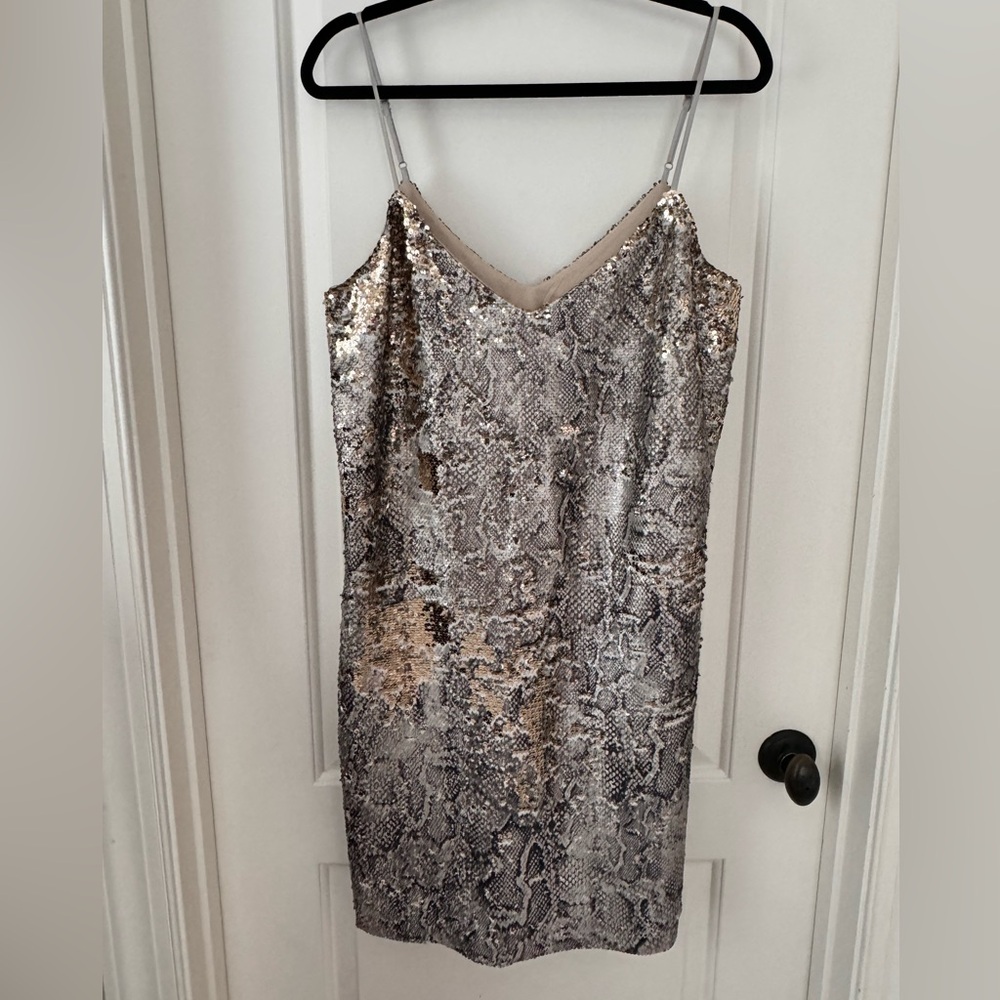 NWT Sequin Dress